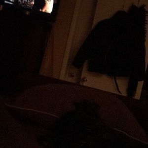 Meet your Posher, Gina